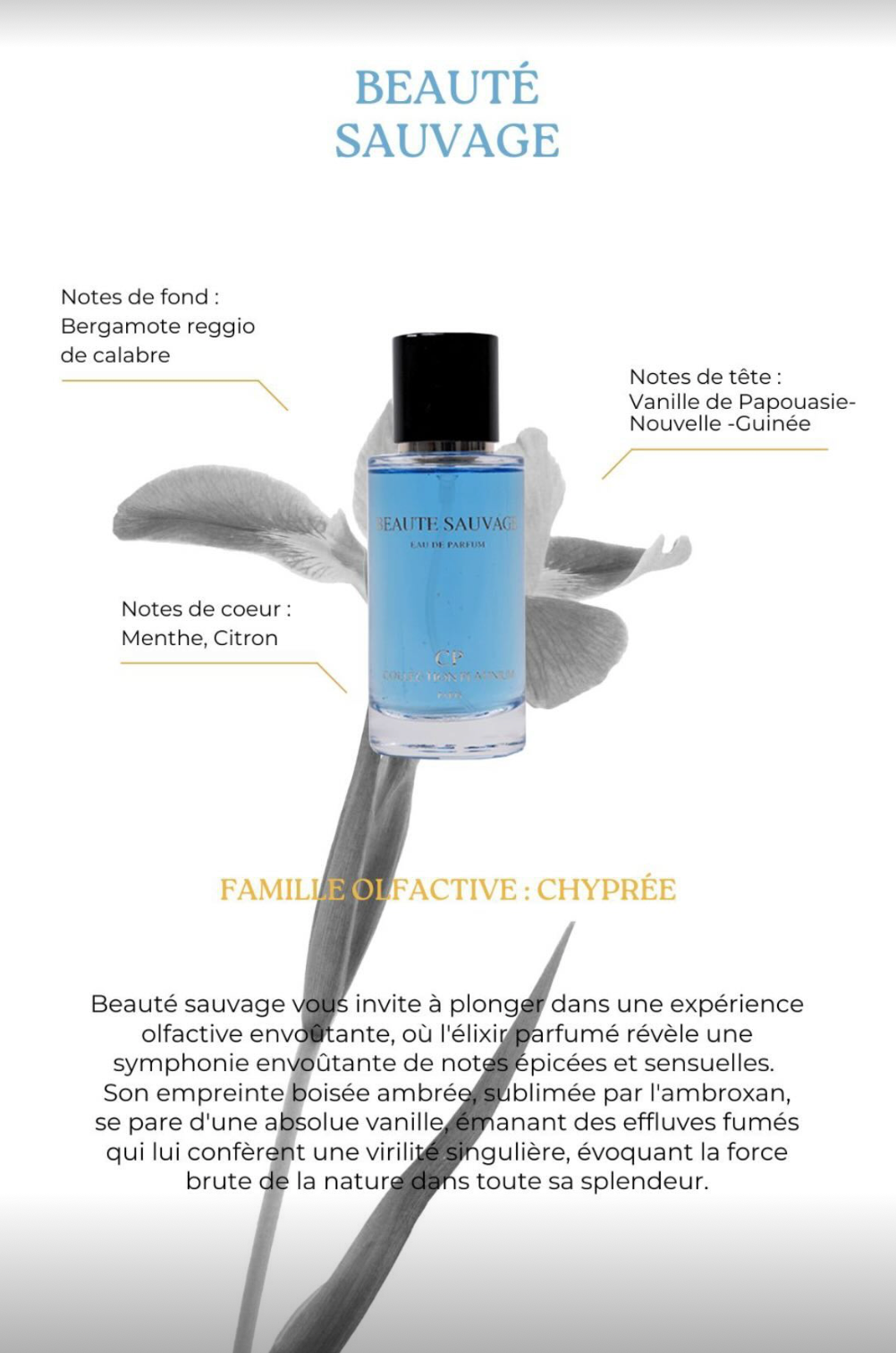 WILD BEAUTY - Private Collection Perfume