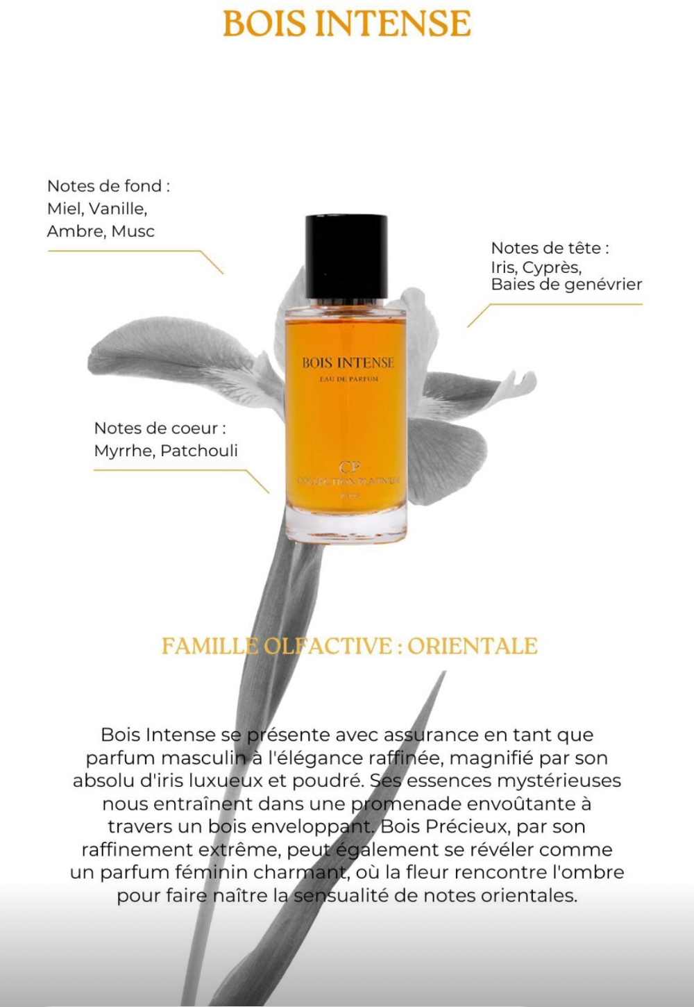 INTENSE WOOD - Private Collection Perfume